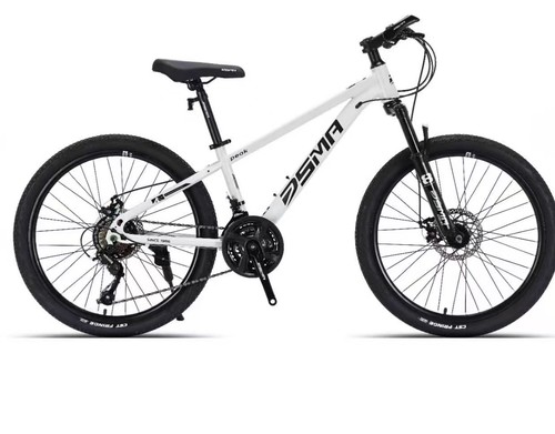 Mountainbike zoll jungen - mountainbike,
